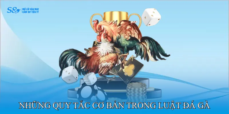 Những Quy Tắc Cơ Bản Trong Luật Đá Gà